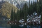 Ель искусственная с лампочками литая премиум Королева Тянь Шаня